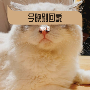 今晚别回家