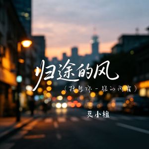 归途的风（抚慰你一路的风霜）