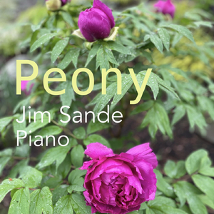 Peony