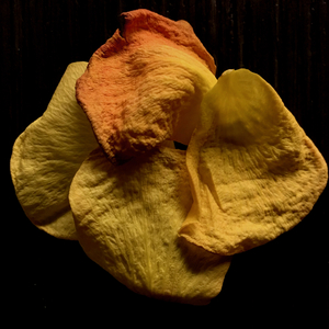 Girdilan (I take to the air)