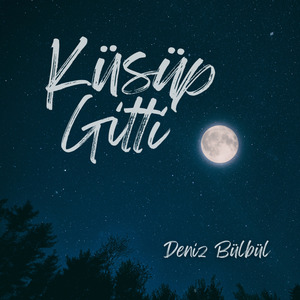 Küsüp Gitti