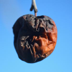 We Forever (Without Memories)