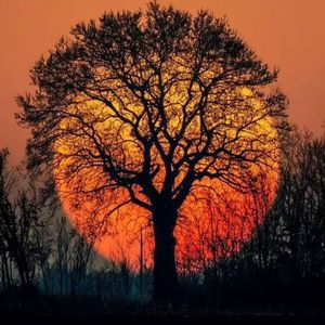 童年的秋千（背景音乐）（小提琴）