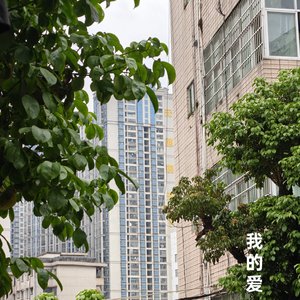 敏感的善良（深情）