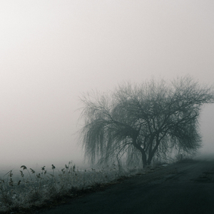 Softly Returning Home