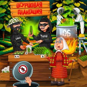 Огурцовая плантация