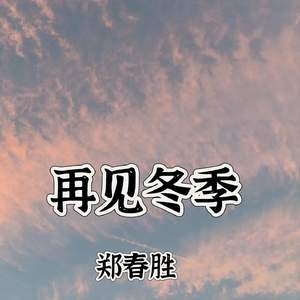 再见冬季