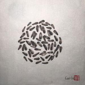 远山的曲线Curves of distant mountains