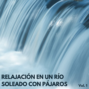 Actualizar La Tranquilidad Con El Sonido Del Río