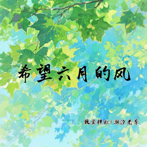 希望六月的风