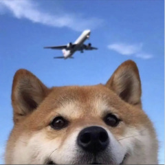 江南红马 (DJ版)