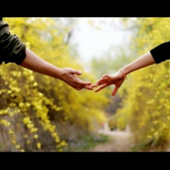 你的情深我都懂