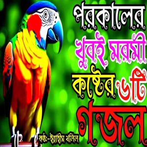 মরনের কথা স্মরণ করা অনেক কষ্টের ছয়টি গজল |Top & Viral 6 Gojhal | বাংলা গজল | gojol | bangla gojol
