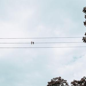 Perfect for Each Other