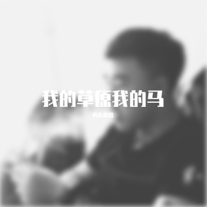 我的草原我的马