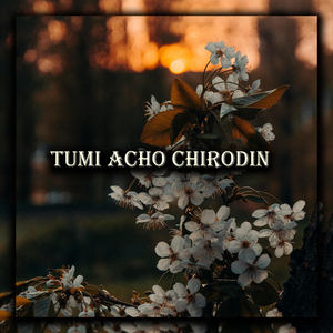 Tumi Acho Chirodin