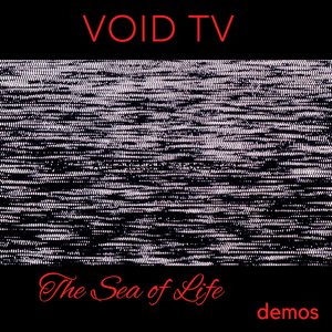 Mindslayer (Acoustic Demo)