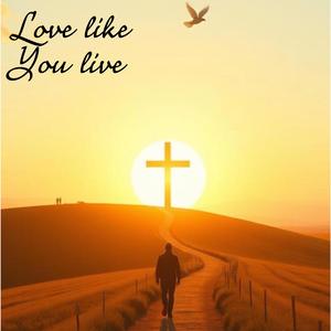 Love Like You Live (Live)