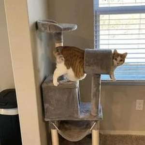 Till I Collapse (slowed)