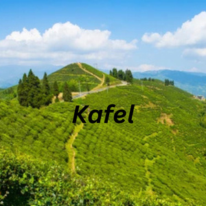 Kafel