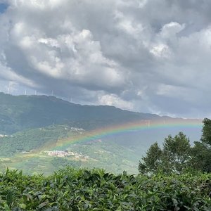 翩翩起舞舞步轻盈