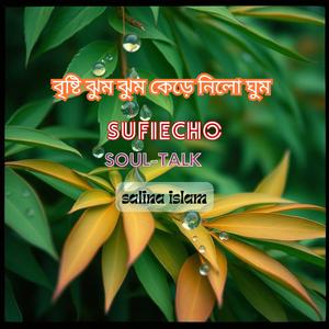 বৃষ্টি ঝুম ঝুম কেড়ে নিলো ঘুম (Bengali songs)