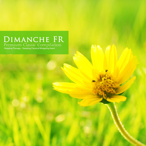 Brahms: Violin Sonata No.3 In D Minor Op.108 - II. Adagio