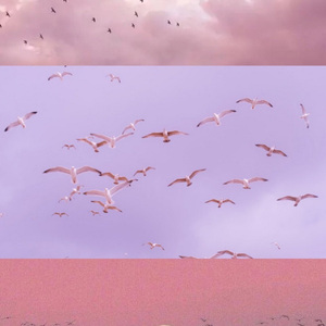 多想在平庸的生活拥抱你