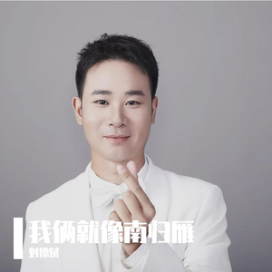 我俩就像南归雁