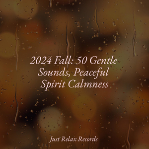 Dreamweaving Harmony