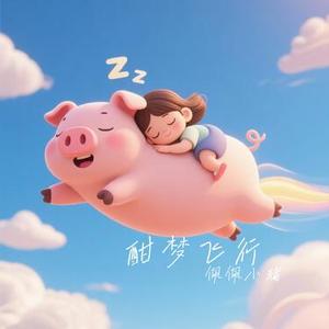 酣梦飞行