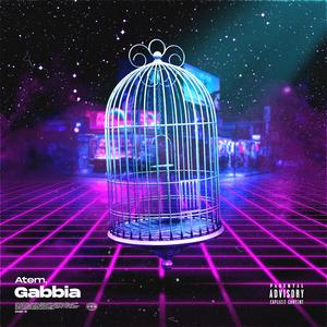 Gabbia