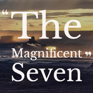 The Magnificent Seven