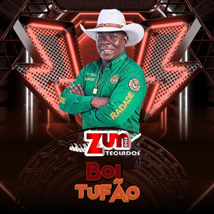 Boi Tufão