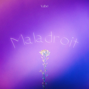 Maladroit