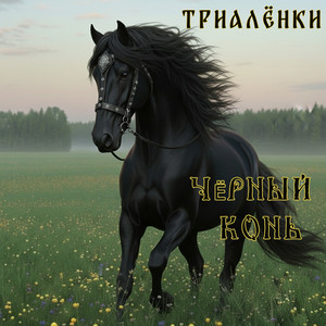 Чёрный конь