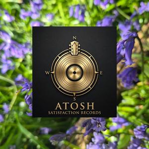 Pavasara zilās puķes