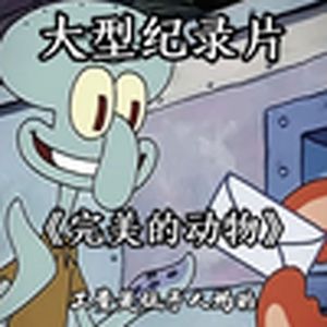 大型纪录片《完美的动物》