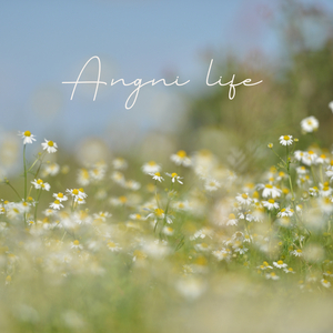 Angni life