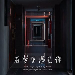 在梦里遇见你
