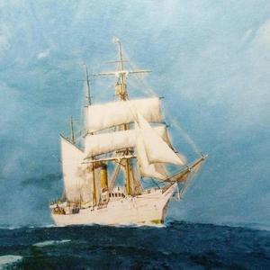 白帆船和长角鹿(prod by.YXT)