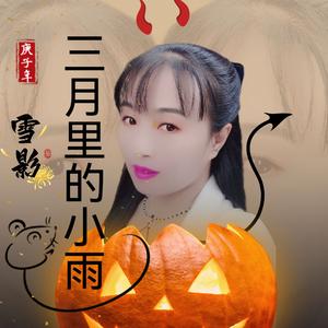 三月里的小雨(DJ版)