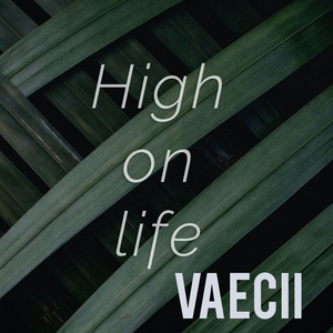 High On Life