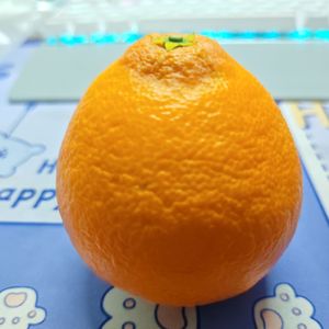 密谋一场叫作白头的出走