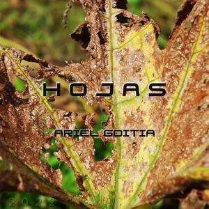 Hojas