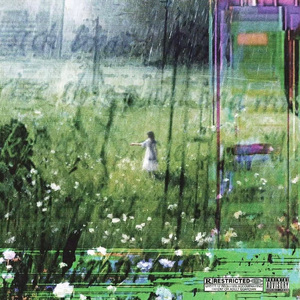 ✧⁺⸜⸝ 가지 마요 +✧