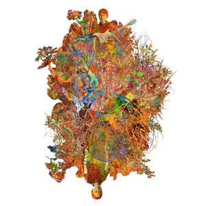 작은 시냇물을 건너면