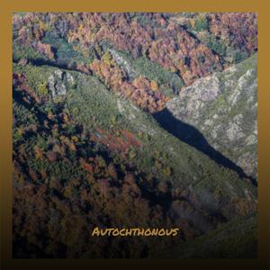 Patterned Fluorescent