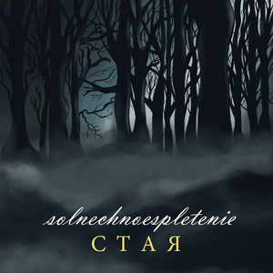 Стая