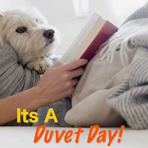 My House Is Your House (Mi Casa Es Su Casa)